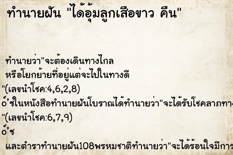 ทำนายฝัน ได้อุ้มลูกเสือขาว คืน
